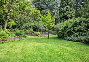 Optimiser l'expérience du jardin à Balagny-sur-Therain